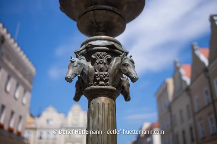 Pferdeköpfe am Pferdebrunnen auf dem Rynek in Oppeln