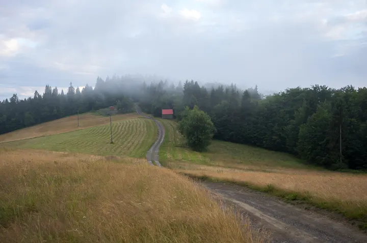 Nebliger Hügel in den Inselbeskiden