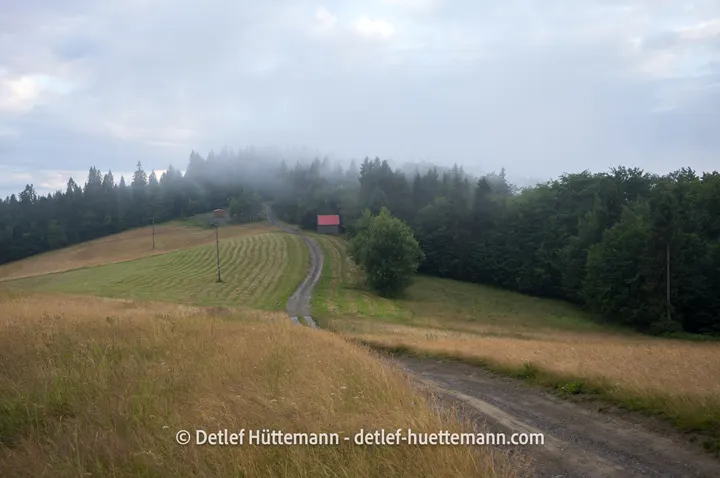 Nebliger Hügel in den Inselbeskiden