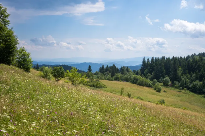 Almwiesen und Hügelketten in den Inselbeskiden