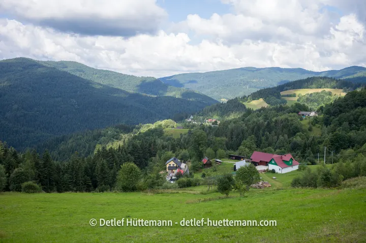 Blick in die bewaldeten Berge der Inselbeskiden