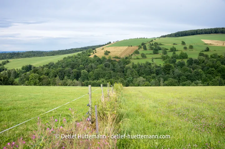 Auf dem Wanderweg durch die Beskiden oberhalb von Puławy Górne