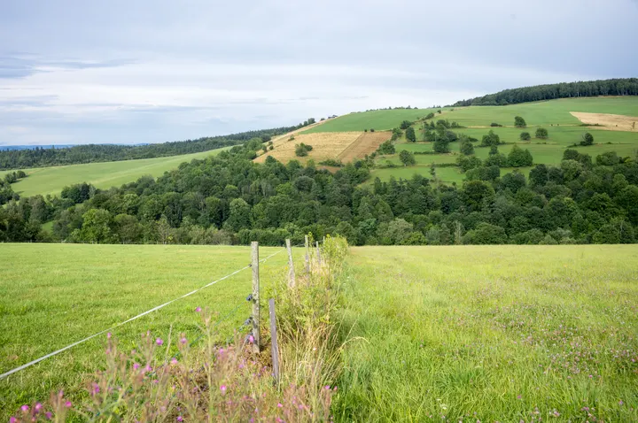 Auf dem Wanderweg durch die Beskiden oberhalb von Puławy Górne