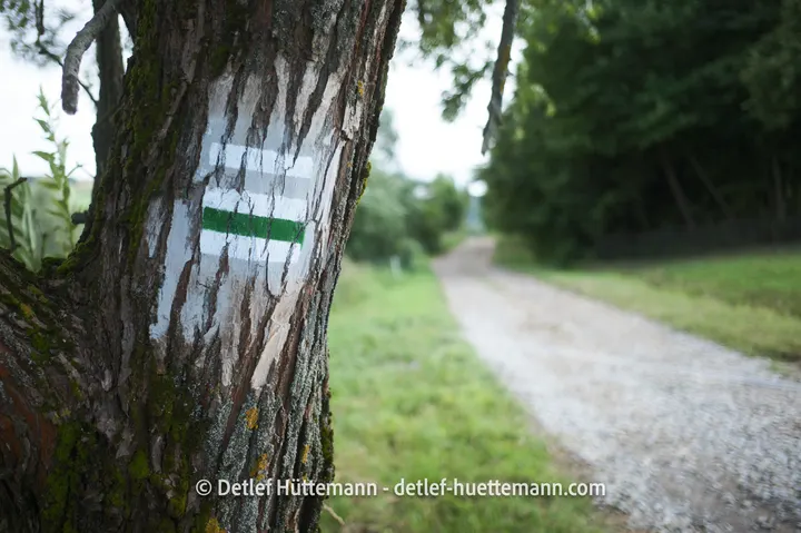 Wanderweg bei Puławy Górne