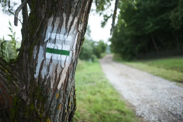 Wanderweg bei Puławy Górne