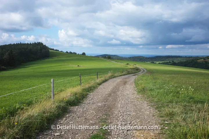 Wege in den Niederen Beskiden zwischen Puławy Górne und dem Berg Dzial