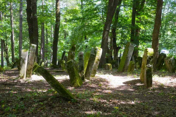 Verwitterte Grabsteine auf dem jüdischen Friedhof von Lesko