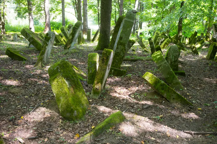 Grabsteine auf dem jüdischen Friedhof von Lesko