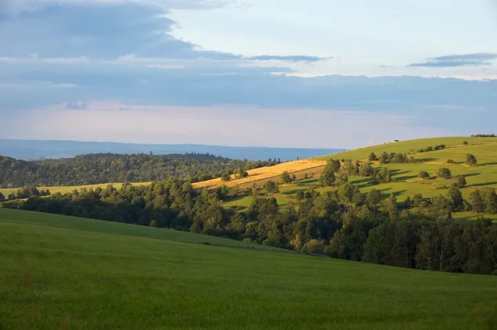 Abendsonne auf den Hängen bei Puławy