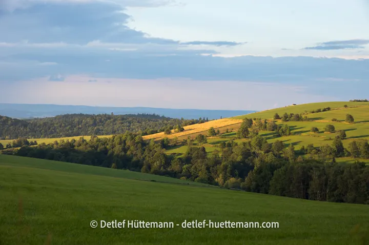 Abendsonne auf den Hängen bei Puławy