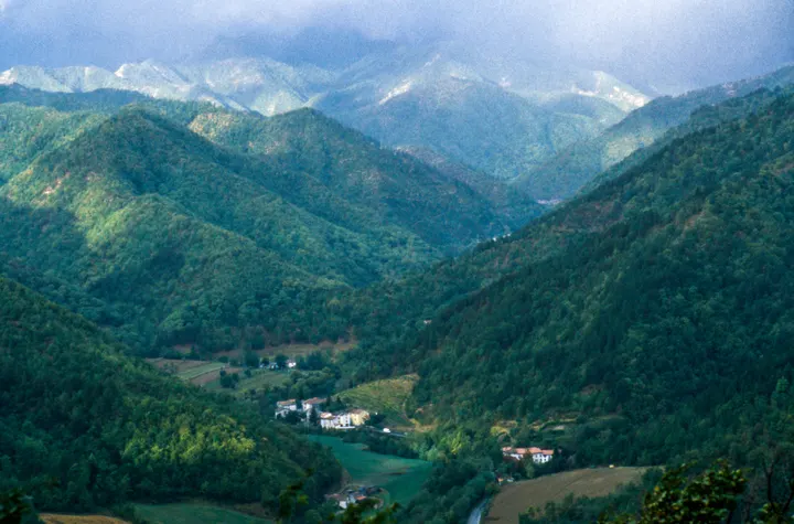 Endlose Wälder des Mugello