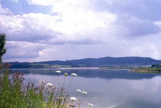 Stausee vor bewaldeten Hügeln (Olympus Mju II; Kodak Gold 200)