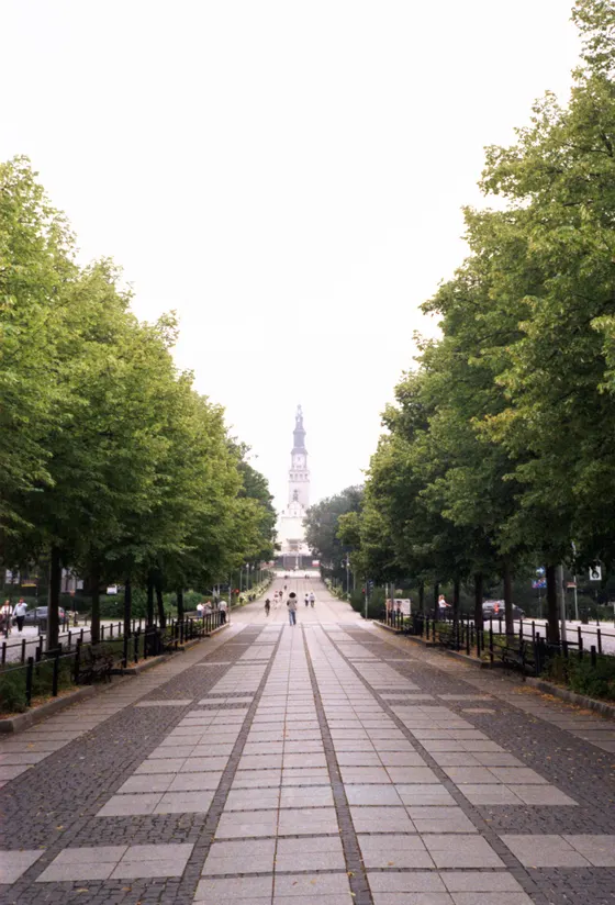 Allee mit Blick auf einen Kirchturm (Olympus Mju II; Kodak Gold 200)