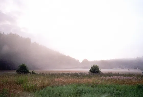 Morgennebel über der Wiese (Olympus Mju II; Kodak Gold 200)