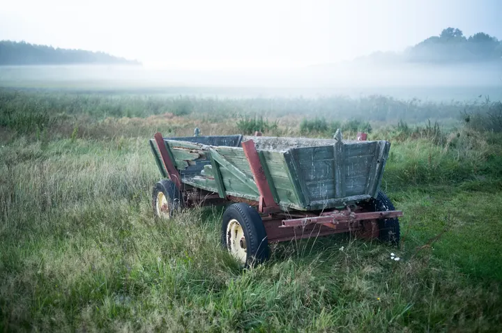 Alter hölzerner Leiterwagen auf einer Wiese im Nebel