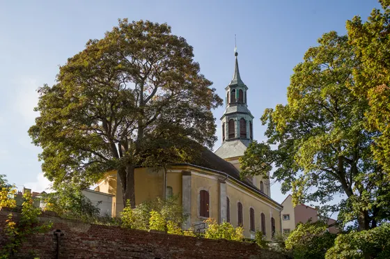 Kirche mit grünem Turmhelm hinter einer Backsteinmauer und Bäumen