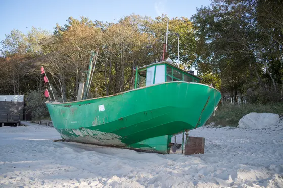 Grüner Fischkutter auf dem Sand vor herbstlichen Bäumen