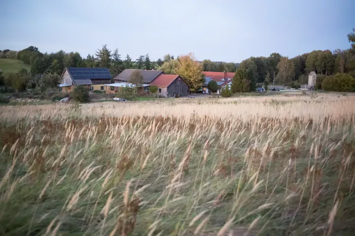 Hof mit Scheunen hinter einer Wiese mit hohem Gras in der Abenddämmerung