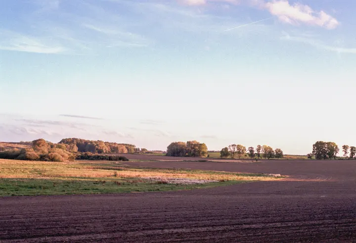 Weite Ackerlandschaft mit Baumgruppen unter hohem Himmel