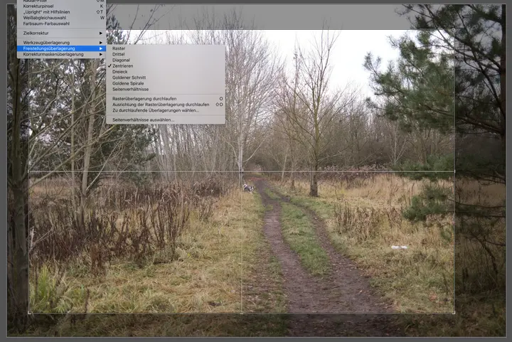 Lightroom Fadenkreuz zum Aurichten des Ausschnittes