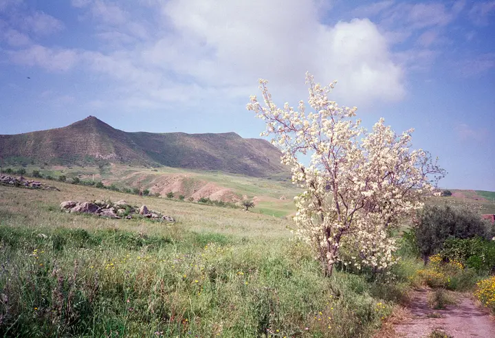An den Hängen des Ätna, Sizilien Italien 1994