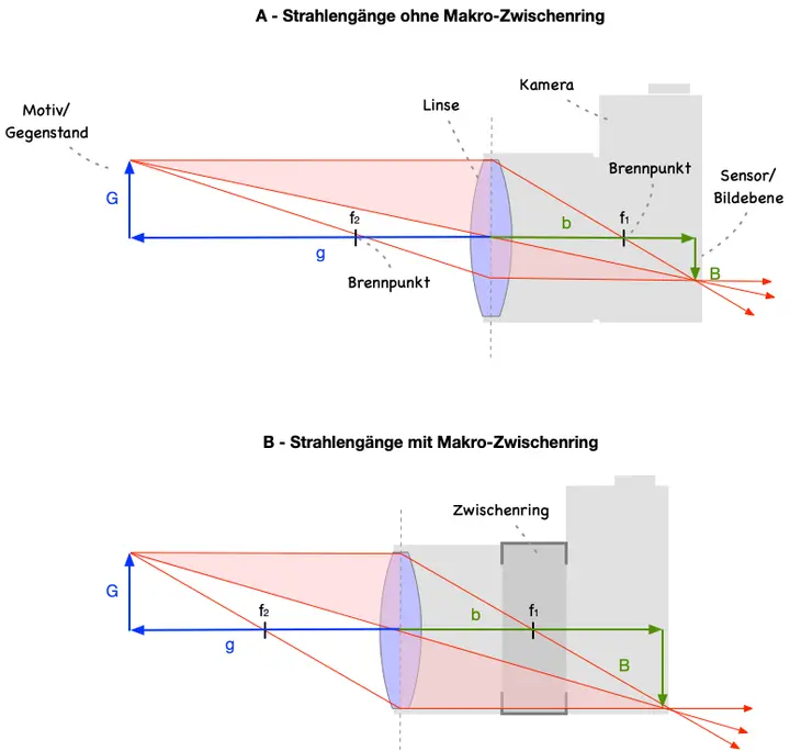 Die optischen Strahlengänge und ähnlichen Dreiecke
